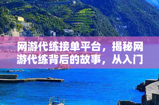 网游代练接单平台，揭秘网游代练背后的故事，从入门到精英的辛酸历程