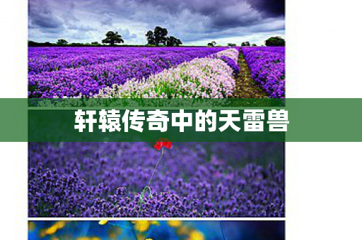 轩辕传奇中的天雷兽