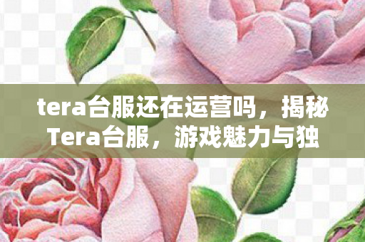 tera台服还在运营吗，揭秘Tera台服，游戏魅力与独特体验
