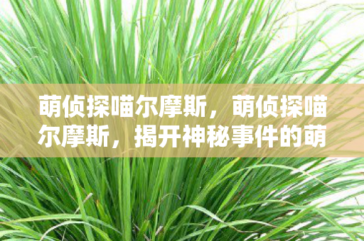 萌侦探喵尔摩斯，萌侦探喵尔摩斯，揭开神秘事件的萌趣探案之旅