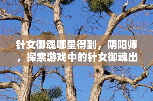 针女御魂哪里得到，阴阳师，探索游戏中的针女御魂出处