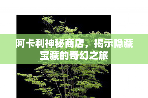 阿卡利神秘商店，揭示隐藏宝藏的奇幻之旅