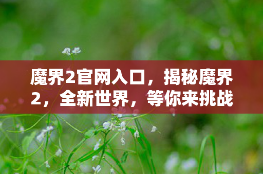 魔界2官网入口，揭秘魔界2，全新世界，等你来挑战！