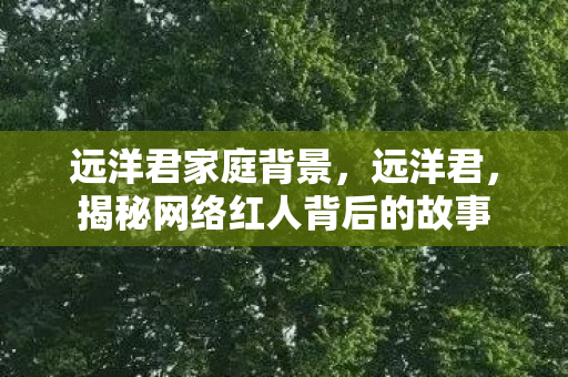 远洋君家庭背景，远洋君，揭秘网络红人背后的故事