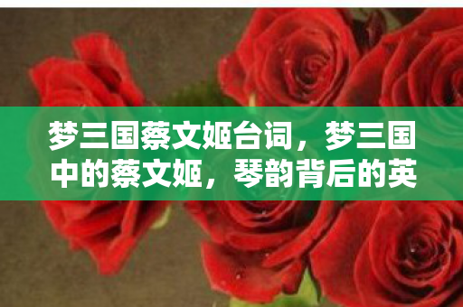 梦三国蔡文姬台词，梦三国中的蔡文姬，琴韵背后的英勇与智慧