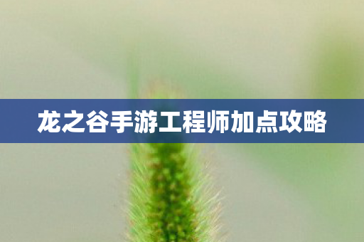 龙之谷手游工程师加点攻略