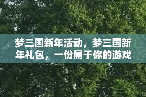 梦三国新年活动，梦三国新年礼包，一份属于你的游戏盛宴