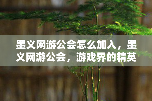 墨义网游公会怎么加入，墨义网游公会，游戏界的精英联盟