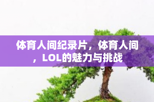 体育人间纪录片，体育人间，LOL的魅力与挑战