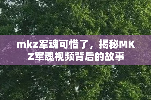 mkz军魂可惜了，揭秘MKZ军魂视频背后的故事