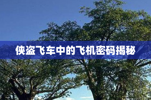 侠盗飞车中的飞机密码揭秘