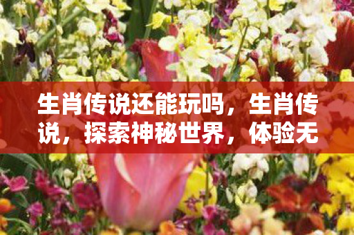 生肖传说还能玩吗，生肖传说，探索神秘世界，体验无尽乐趣