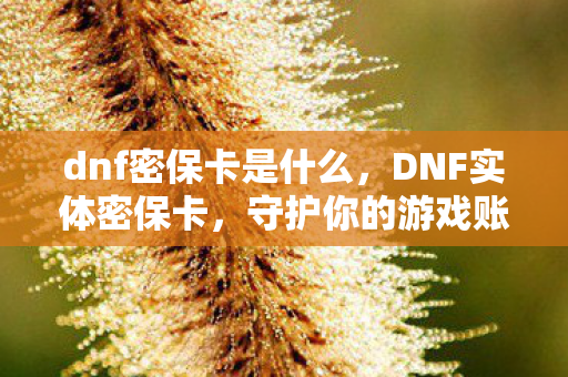 dnf密保卡是什么，DNF实体密保卡，守护你的游戏账号安全