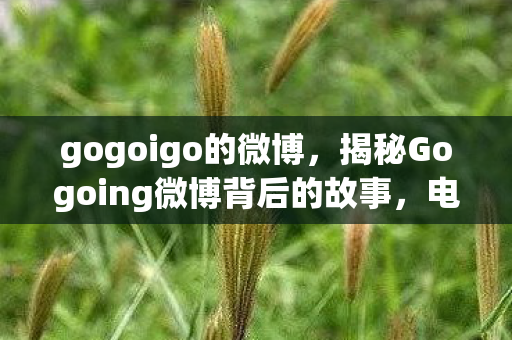 gogoigo的微博，揭秘Gogoing微博背后的故事，电竞传奇的成长与蜕变