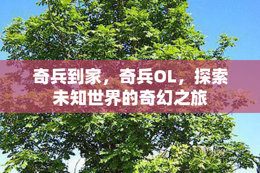 奇兵到家，奇兵OL，探索未知世界的奇幻之旅