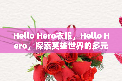 Hello Hero衣服，Hello Hero，探索英雄世界的多元魅力