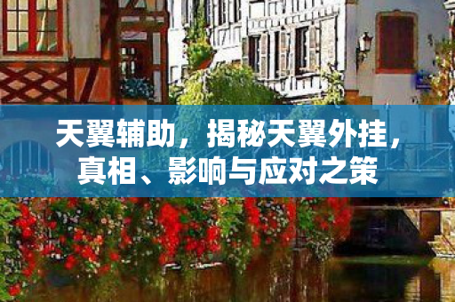 天翼辅助，揭秘天翼外挂，真相、影响与应对之策