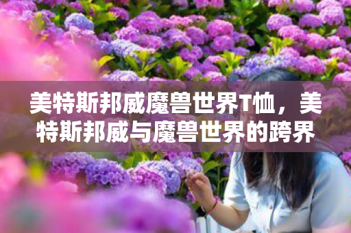 美特斯邦威魔兽世界T恤，美特斯邦威与魔兽世界的跨界合作，一场时尚与游戏的完美融合