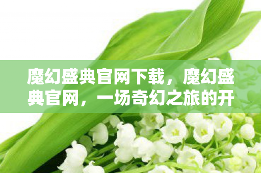 魔幻盛典官网下载，魔幻盛典官网，一场奇幻之旅的开启