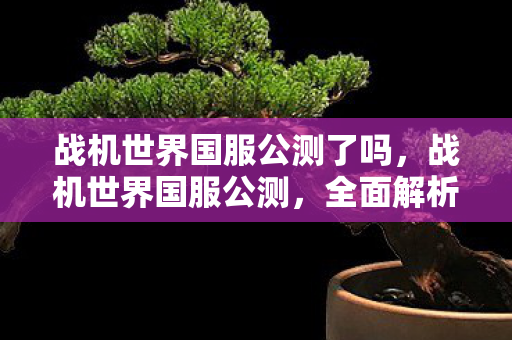 战机世界国服公测了吗，战机世界国服公测，全面解析游戏特色与体验