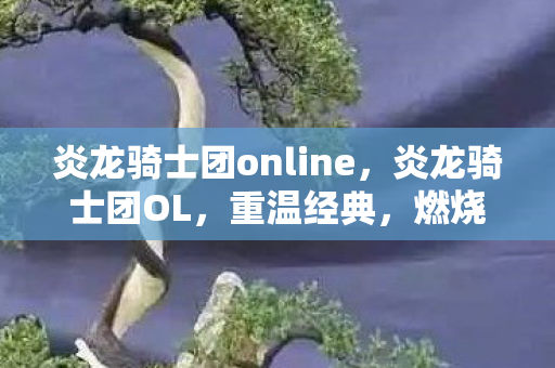 炎龙骑士团online，炎龙骑士团OL，重温经典，燃烧你的游戏激情