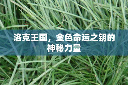 洛克王国，金色命运之钥的神秘力量