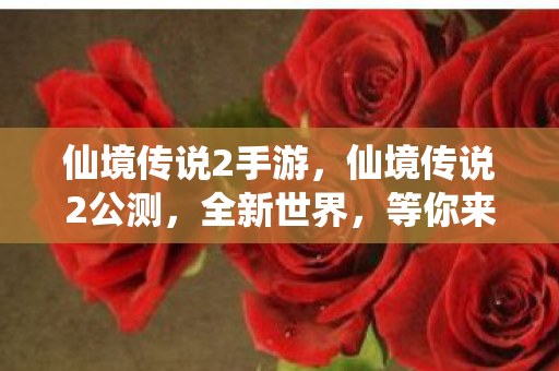 仙境传说2手游，仙境传说2公测，全新世界，等你来冒险！