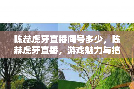 陈赫虎牙直播间号多少，陈赫虎牙直播，游戏魅力与搞笑天赋的完美融合