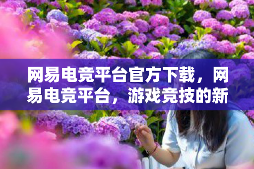 网易电竞平台官方下载，网易电竞平台，游戏竞技的新高地