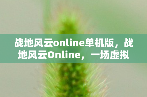 战地风云online单机版，战地风云Online，一场虚拟世界的真实战争体验