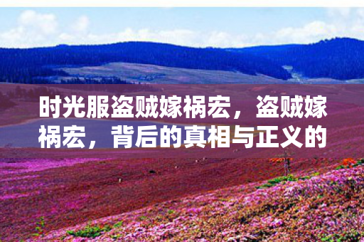 时光服盗贼嫁祸宏，盗贼嫁祸宏，背后的真相与正义的追寻