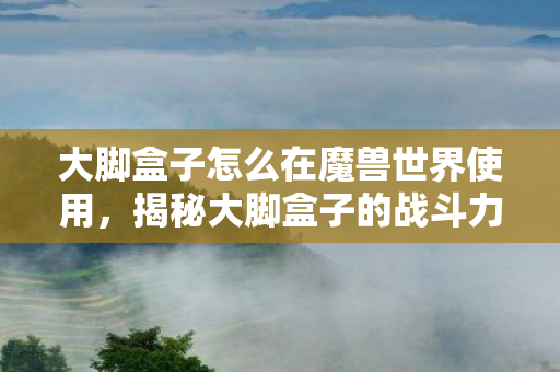 大脚盒子怎么在魔兽世界使用，揭秘大脚盒子的战斗力，深度解析其性能与潜力