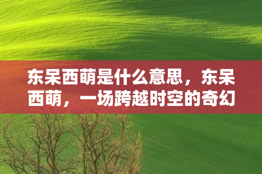 东呆西萌是什么意思，东呆西萌，一场跨越时空的奇幻之旅