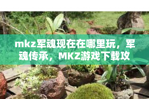 mkz军魂现在在哪里玩，军魂传承，MKZ游戏下载攻略与体验分享