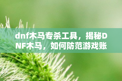 dnf木马专杀工具，揭秘DNF木马，如何防范游戏账号安全威胁