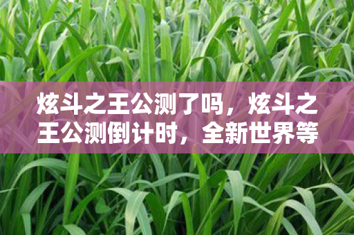 炫斗之王公测了吗，炫斗之王公测倒计时，全新世界等你来战！