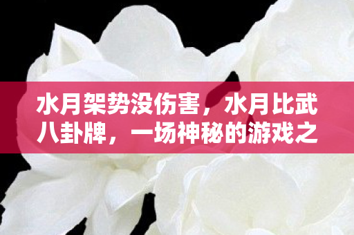 水月架势没伤害，水月比武八卦牌，一场神秘的游戏之旅