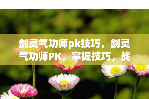 剑灵气功师pk技巧，剑灵气功师PK，掌握技巧，战胜对手