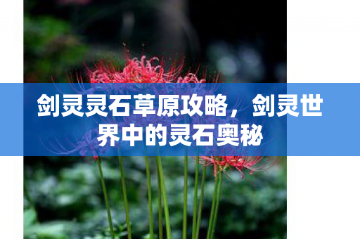 剑灵灵石草原攻略，剑灵世界中的灵石奥秘