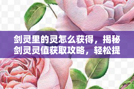 剑灵里的灵怎么获得，揭秘剑灵灵值获取攻略，轻松提升你的游戏实力！