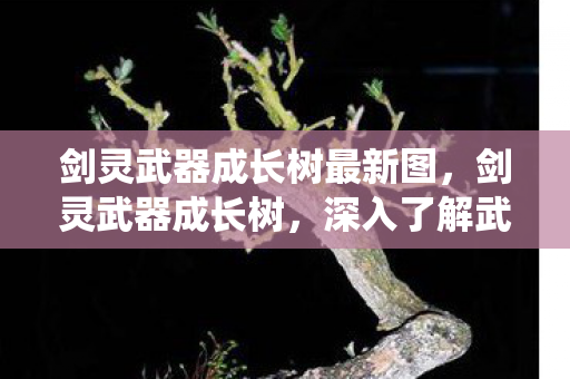 剑灵武器成长树最新图，剑灵武器成长树，深入了解武器进化系统