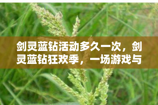 剑灵蓝钻活动多久一次，剑灵蓝钻狂欢季，一场游戏与福利的盛宴