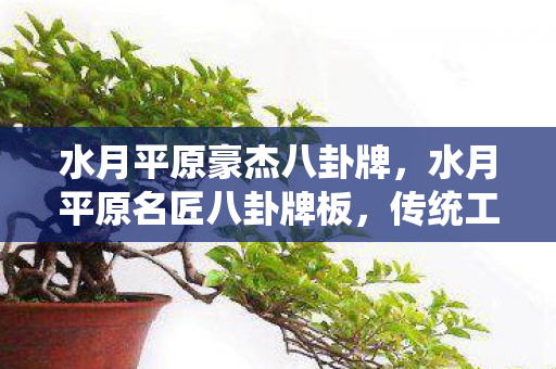 水月平原豪杰八卦牌，水月平原名匠八卦牌板，传统工艺与现代魅力的融合