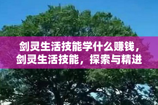 剑灵生活技能学什么赚钱，剑灵生活技能，探索与精进之路