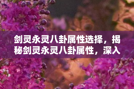 剑灵永灵八卦属性选择，揭秘剑灵永灵八卦属性，深入解析游戏内隐藏的神秘力量