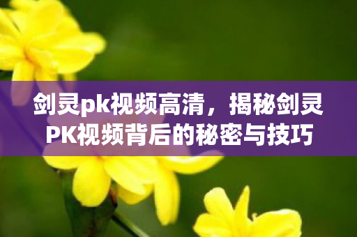 剑灵pk视频高清，揭秘剑灵PK视频背后的秘密与技巧