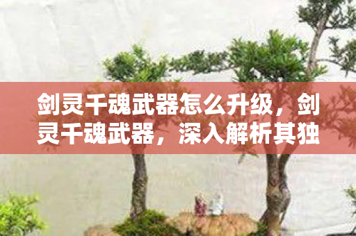 剑灵千魂武器怎么升级，剑灵千魂武器，深入解析其独特魅力与获取方式