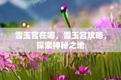 雪玉宫在哪，雪玉宫攻略，探索神秘之地