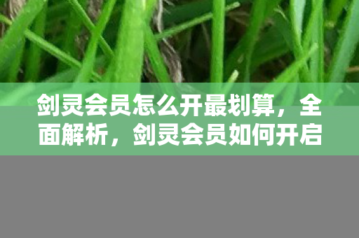 剑灵会员怎么开最划算，全面解析，剑灵会员如何开启