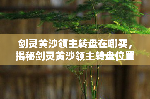 剑灵黄沙领主转盘在哪买，揭秘剑灵黄沙领主转盘位置，轻松找到游戏宝藏！